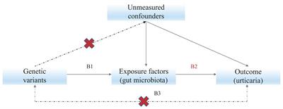 Causal relationship between gut microbiota and urticaria: a bidirectional two-sample mendelian randomization study